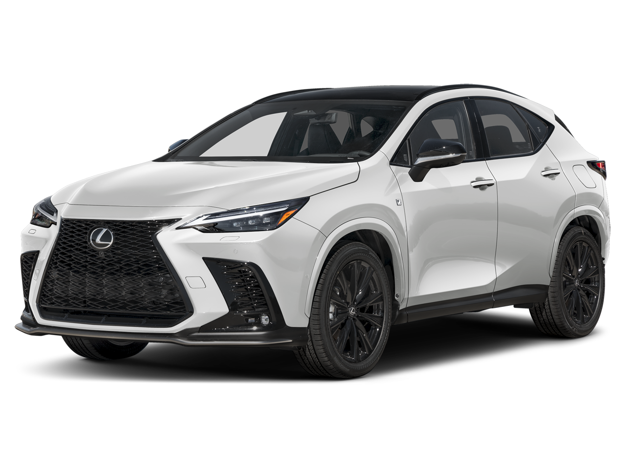 2025 Lexus NX